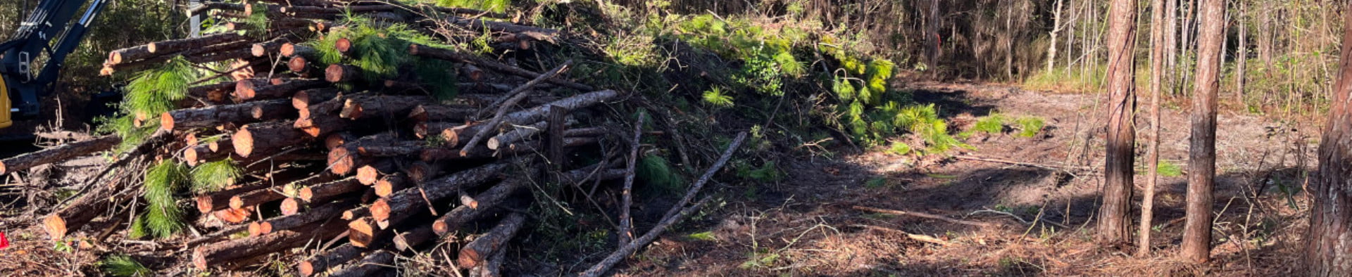 Land Clearing by Bailey Excavating